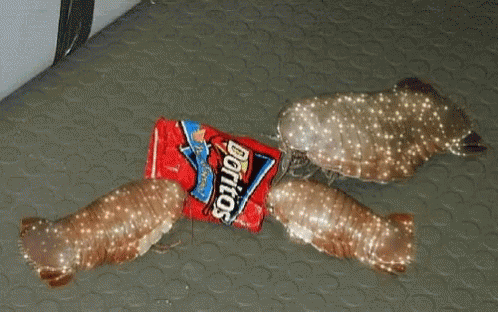 A Bag Of Doritos Is Laying On The Floor Next To Some Fish GIF