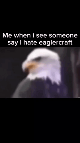 A Bald Eagle Is Sitting In Front Of A Black Background . GIF