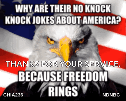 A Bald Eagle With The Words Why Are Their No Knock Knock Jokes About America Thanks For Your Service Because Freedom Rin GIF