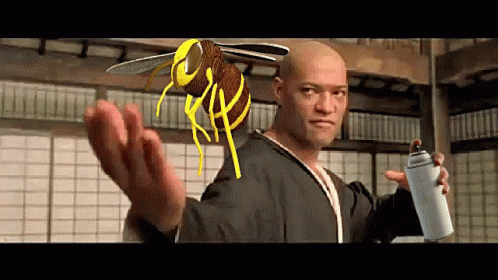 A Bald Man Is Holding A Spray Can And A Bee On His Head .. GIF