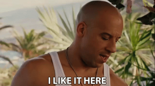 A Bald Man Says I Like It Here In Front Of Palm Trees GIF