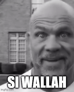 A Bald Man With A Beard Is Making A Funny Face With The Words Si Wallah On His Face . GIF