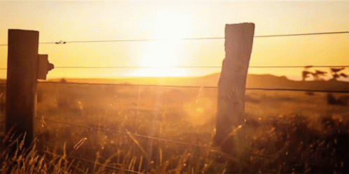 A Barbed Wire Fence In A Field With The Sun Setting In The Background GIF