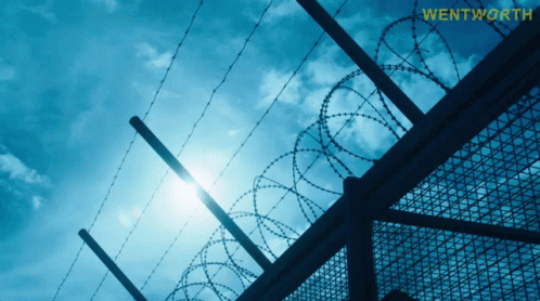 A Barbed Wire Fence With Wentworth Written On The Bottom Right GIF