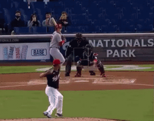 A Baseball Game Is Being Played In The National Park GIF