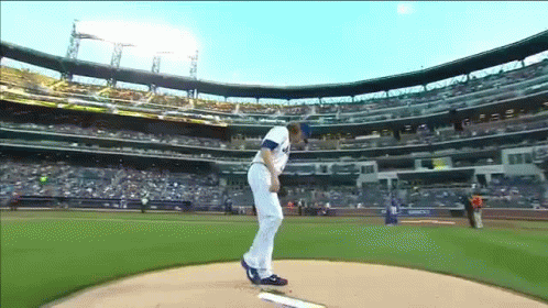 a baseball player is getting ready to throw the ball in a stadium