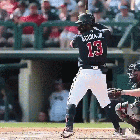 A Baseball Player Named Acuna Jr. Is Up To Bat GIF