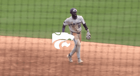 A Baseball Player Wearing A Jersey That Says State On It GIF