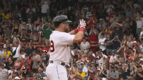 A Baseball Player Wearing A Number 9 Jersey Stands In Front Of A Crowd GIF