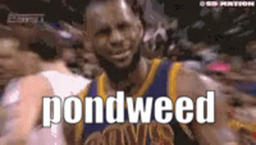 A Basketball Player In A Golden State Warriors Uniform Says Pondweed GIF
