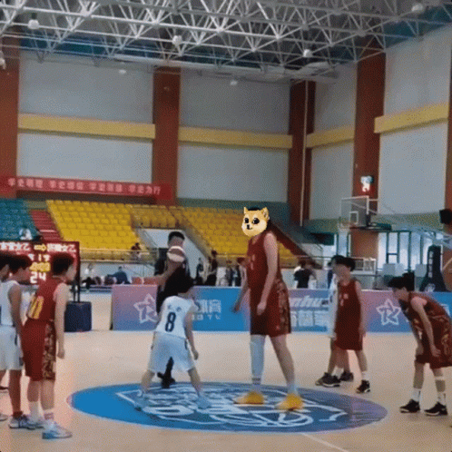 A Basketball Player Wearing A Number 8 Jersey Stands On The Court GIF