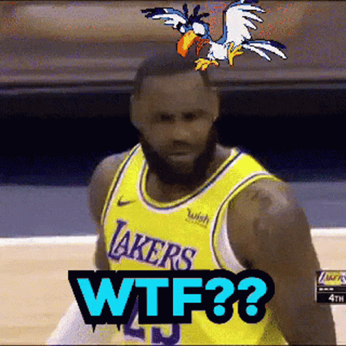 a basketball player with a bird on top of his head and the words wtf on the bottom