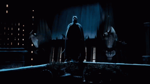 A Bat Is Flying In A Dark Room With Lots Of Windows GIF