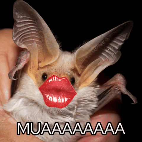 A Bat With Red Lips Is Being Held In Someone 'S Hand With Muaaaa Written Below It GIF