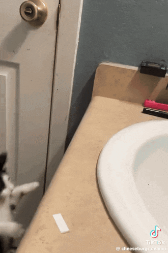 A Bathroom Counter With A Toothbrush And A Toothpaste Sticker On It GIF