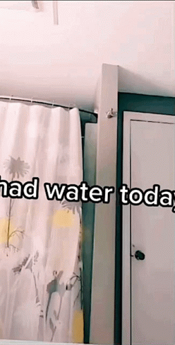 A Bathroom With A Shower Curtain And The Words " Had Water Today " On The Bottom GIF