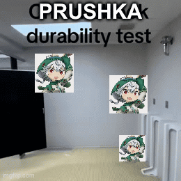 A Bathroom With A Sign That Says " Prusha Durability Test " GIF
