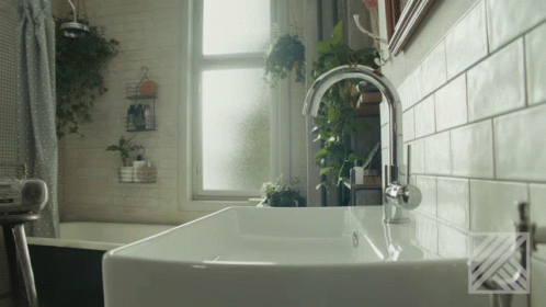 A Bathroom With A Sink And A Window With Plants Hanging On The Wall GIF