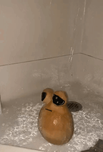 A Bathtub With A Drain And A Bottle Of Shampoo GIF