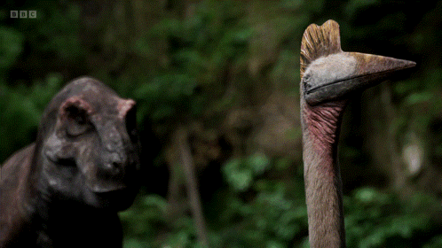 A Bbc Logo Is On The Bottom Right Of A Dinosaur GIF