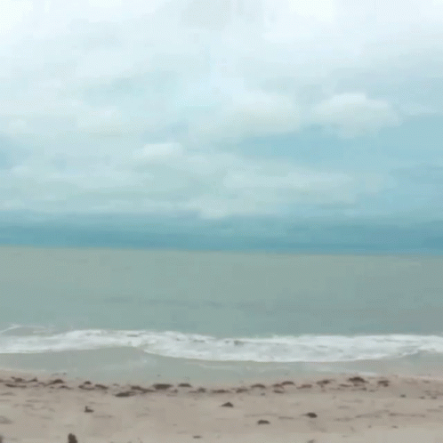 A Beach Scene With A Cloudy Sky And Waves Crashing On The Sand GIF