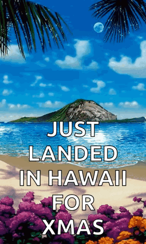 A Beach Scene With The Words Just Landed In Hawaii For Xmas GIF