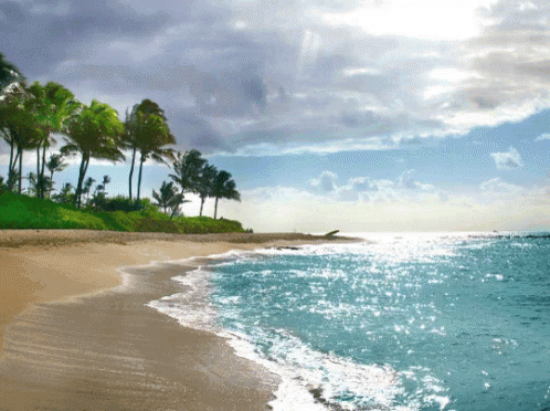 A Beach With Palm Trees And Waves Crashing Against The Sand GIF
