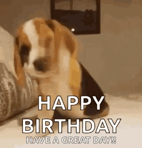 A Beagle Dog Is Sitting On A Bed With The Words `` Happy Birthday Have A Great Day '' . GIF