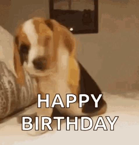 A Beagle Puppy Is Sitting On A Bed And Says Happy Birthday . GIF
