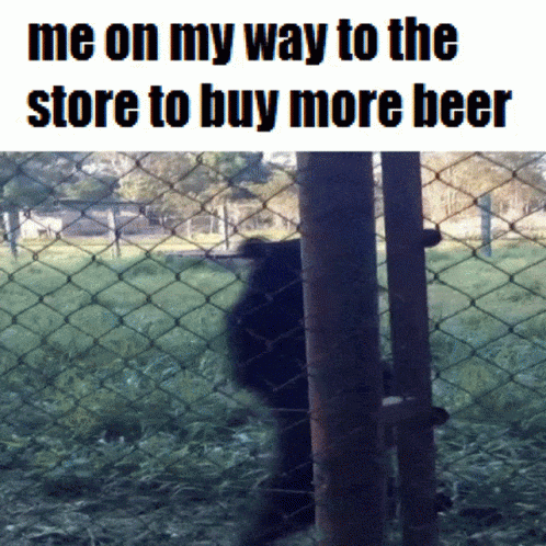 A Bear Behind A Chain Link Fence With The Words Me On My Way To The Store To Buy More Beer Below It GIF