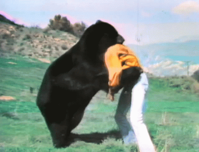 A Bear Body Slam A Man GIF