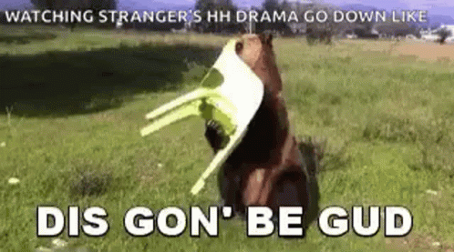 A Bear Is Holding A Chair In Its Mouth While Sitting In The Grass . GIF