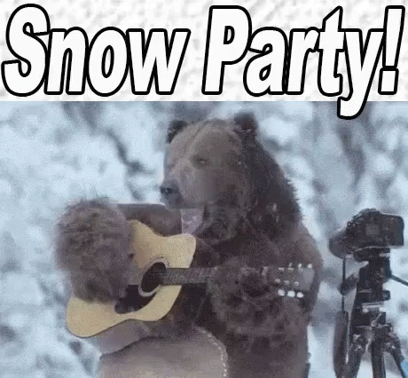 A Bear Is Playing A Guitar In The Snow While A Camera Records It . GIF
