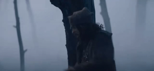 A Bear Is Sitting On A Tree Stump In The Woods . GIF