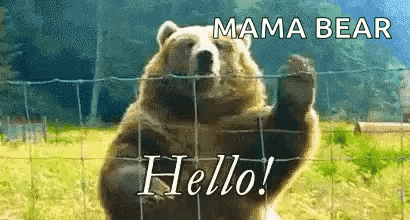A Bear Is Standing Behind A Fence Waving Its Paw . GIF