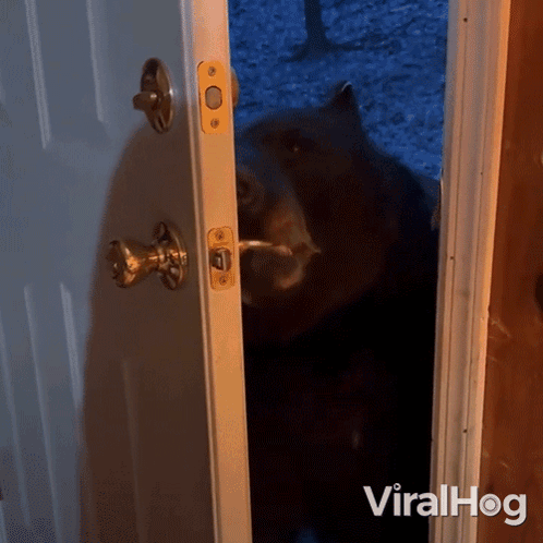 A Bear Is Standing In A Doorway With The Words Viralhog Written On The Bottom GIF