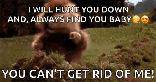 A Bear Is Standing In A Field With The Words `` I Will Hunt You Down And , Always Find You Baby '' GIF