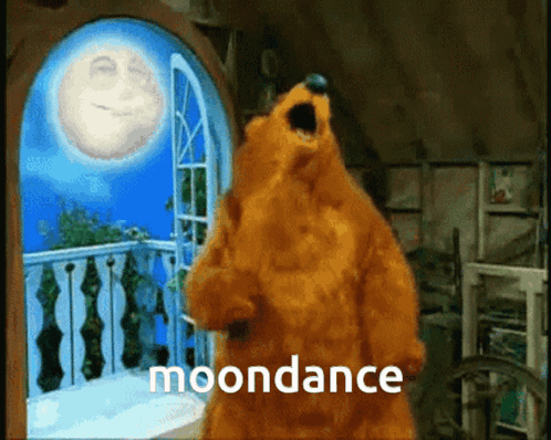 A Bear Is Standing In Front Of A Window With The Word Moondance Written On The Bottom GIF