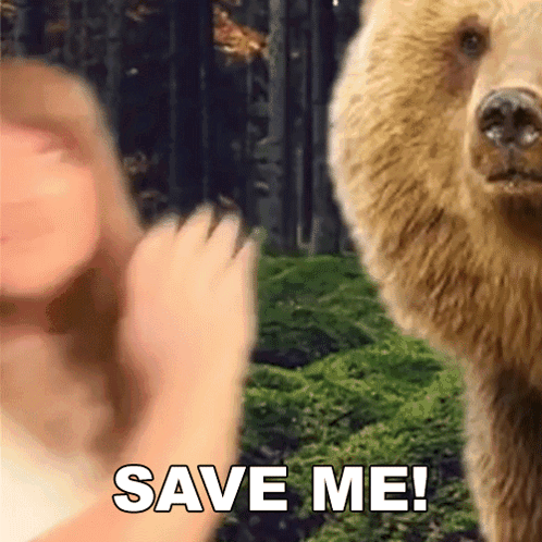 A Bear Is Standing Next To A Woman With The Words Save Me On The Bottom GIF