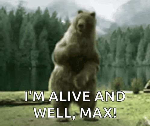 A Bear Is Standing On Its Hind Legs In A Field . GIF