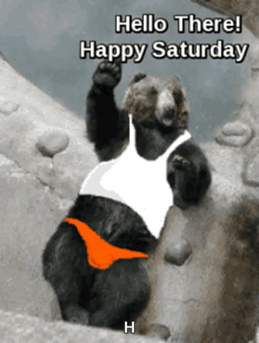 A Bear Is Wearing A White Tank Top And Orange Bikini Bottoms And Says Hello There Happy Saturday GIF