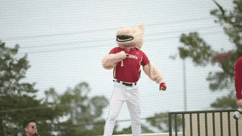 A Bear Mascot Wearing A Red Shirt That Says Oklahoma GIF