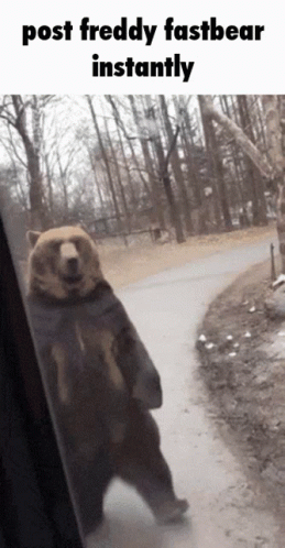 A Bear Standing On Its Hind Legs With The Caption Post Freddy Fast Bear Instantly GIF
