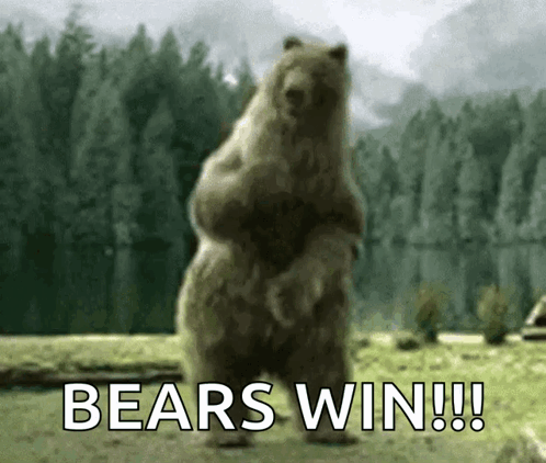 A Bear Standing On Its Hind Legs With The Words Bears Win GIF