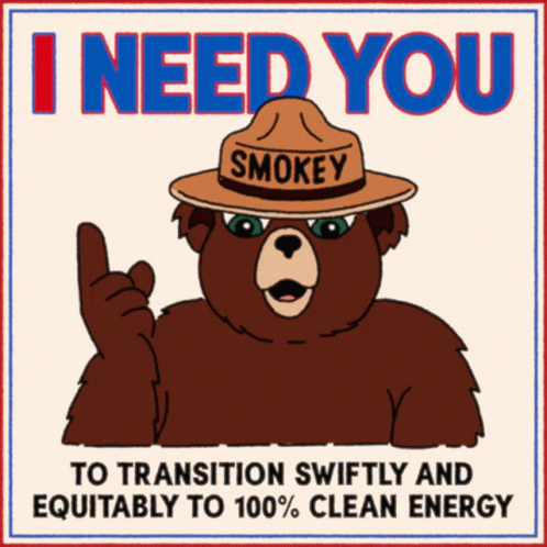 A Bear Wearing A Smokey Hat Says I Need You To Transition Swiftly And Equably To 100 % Clean Energy GIF