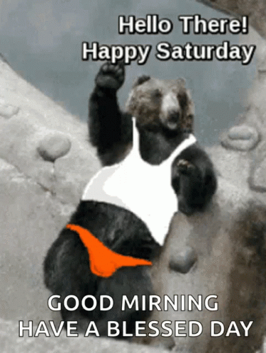 A Bear Wearing A White Tank Top And Orange Underwear Says Hello There Happy Saturday GIF