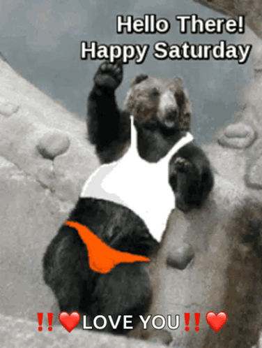 A Bear Wearing A White Tank Top And Orange Underwear Says Hello There Happy Saturday Love You GIF