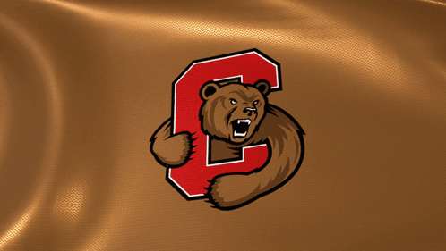 a bear with a letter c on its back
