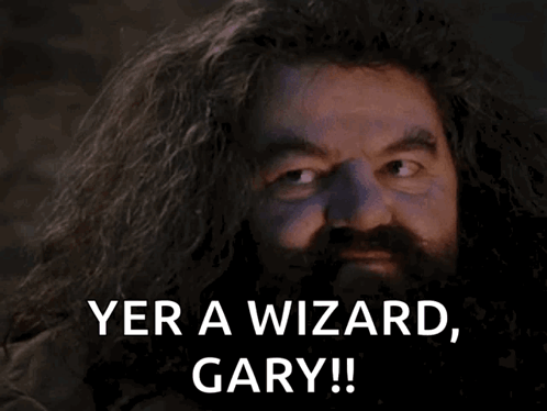 A Bearded Man With A Surprised Look On His Face Says " Yer A Wizard Gary " GIF