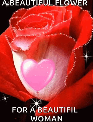 A Beautiful Flower For A Beautiful Woman Is A Red Rose With A Pink Heart In It . GIF